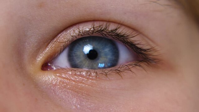 Blue eyes of a school-age girl in close-up. The child's eyelid is blinking. The eyeball. Human pupil. The beautiful blue eye of a girl