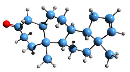  3D image of Androstenone skeletal formula - molecular chemical structure of  steroidal pheromone isolated on white background