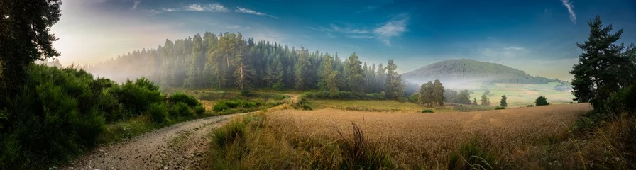 Foto auf Acrylglas Lumière matinale sur un champ de blé en montagne, à l'avant d'une forêt de pins, Allègre, Auvergne-Rhône-Alpes, France © Olivier Klencklen