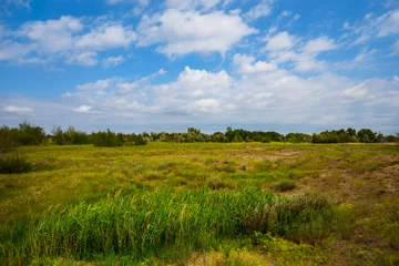 Foto op Plexiglas summer prairie with green grass under blue cloudy sky © Yuriy Kulik