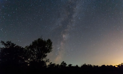 Naklejka na ściany i meble prairie silhouette under dark starry sky, night summer outdoor landscape
