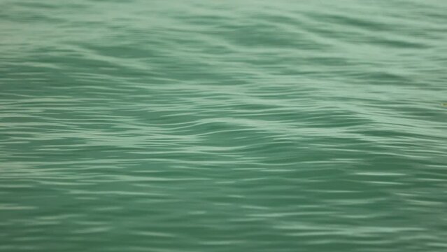 waves on the lake Balaton, slow motion