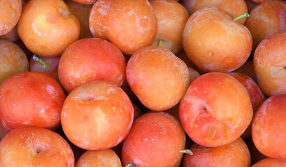 Ripe plum fruits (Latin Prunus) of the new harvest are sold at the bazaar 