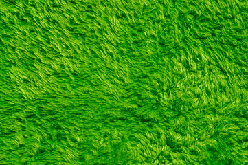 Light green carpet texture background and wallpaper