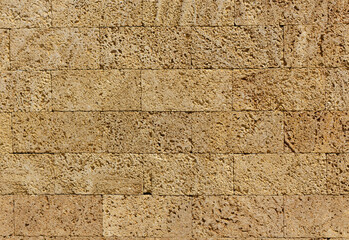 limestone wall texture with seashells. beautiful vintage wall
