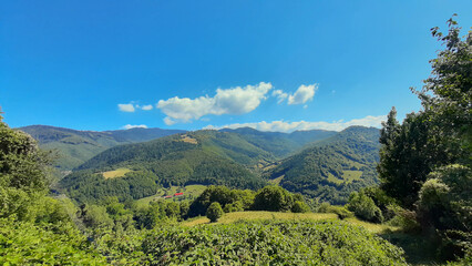 countryside scenery in mountains. beautiful landscape of carpathians with meadows rolling through forested hills in the day light. wonderful weather in springtime