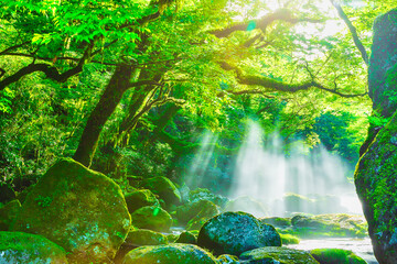 菊池渓谷（熊本県菊池市）