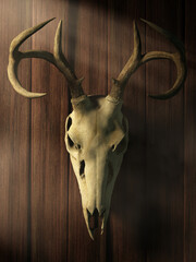 A deer skull with antlers hangs on a wooden wall. This gruesome piece of decor seems to make you feel uneasy.  Is it giving you an angry stare? 3D Rendering
