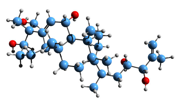  3D image of Balsaminapentaol skeletal formula - molecular chemical structure of triterpenoid  isolated on white background