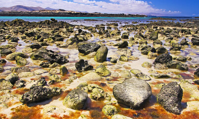 El Cotillo, North Fuerteventura: Many countless stones in water scattered in sand at rocky beach during ebb, turquoise sea lagoon background