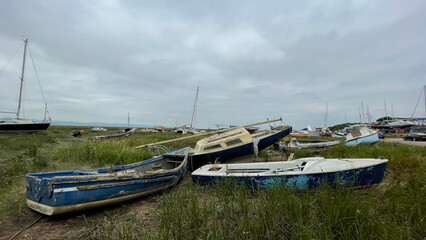 Abandoned fishing vessels stranded on overgrown estuary