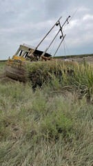 Abandoned fishing vessels stranded on overgrown estuary