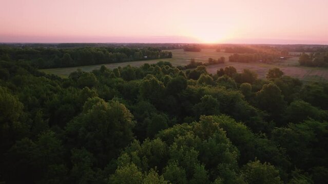 Drone Shot Of Rural Forest And Fields - New Albany, Ohio