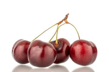 Four sweet cherries, close-up, isolated on a white background.