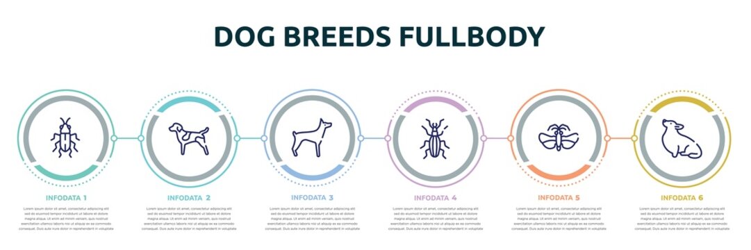 dog breeds fullbody concept infographic design template. included red soldier beetle, german shorthaired pointer, doberman, null, null, corgi icons and 6 option or steps.