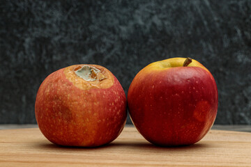 A rotten apple with mold and a fresh apple on a dark background