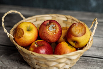 Rotten apples in the basket Bad harvest Hunger
