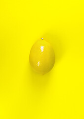 lemon on yellow background
