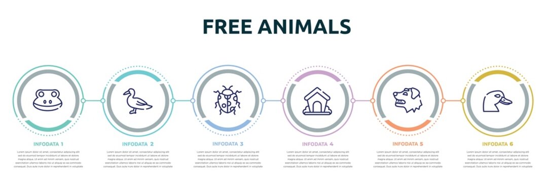 free animals concept infographic design template. included frog head, wild duck, spots ladybug, dog kennel, border collie dog head, duck head icons and 6 option or steps.