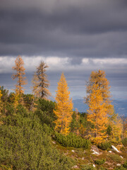 Autumn at Slemenova Spica in the Julian Alps mountains