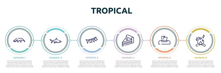 tropical concept infographic design template. included anteater, sharks, garlands, piece of cake, napkin, campfire icons and 6 option or steps.