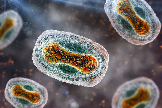 Monkeypox virus, 3D illustration