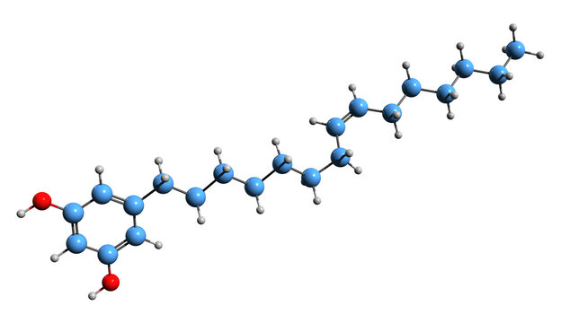 3D image of Bilobol skeletal formula - molecular chemical structure of  alkylresorcinol isolated on white background
