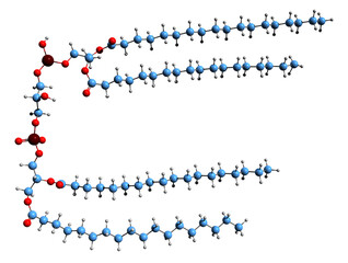  3D image of bisphosphatidylglycerol skeletal formula - molecular chemical structure of glycerophospholipid isolated on white background
