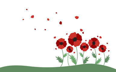 Banner with poppies as a symbol of freedom in Ukraine on white background. 
