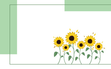 Banner with sunflowers as a symbol of freedom in Ukraine on white background.