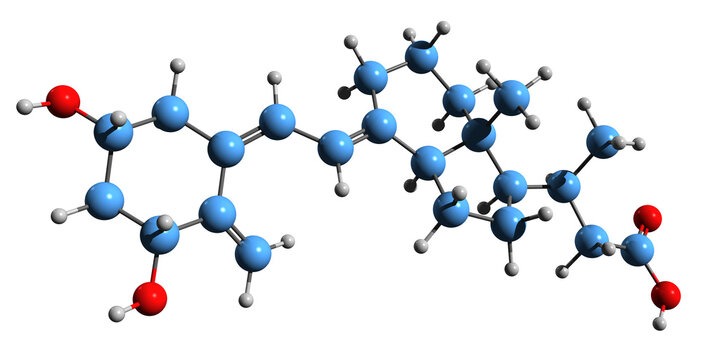  3D image of Calcitroic acid skeletal formula - molecular chemical structure of  metabolite isolated on white background