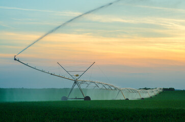 Fototapeta na wymiar Agricultural irrigation system watering agricultural fields in summer