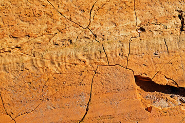 Dry and cracked soil surface detail