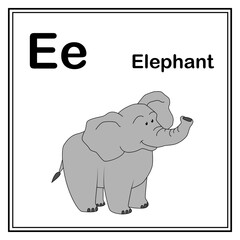 Obraz premium Cute children ABC animal alphabet E letter flashcard of Elephant for kids learning English vocabulary.