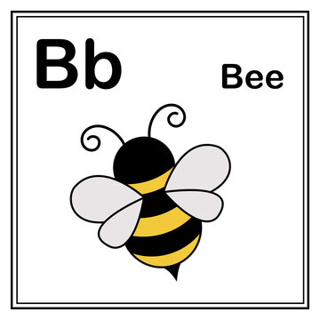 Cute children ABC animal alphabet B letter flashcard of Bee for kids learning English vocabulary.