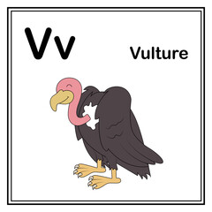 Cute children ABC animal alphabet V letter flashcard of Vulture for kids learning English vocabulary.
