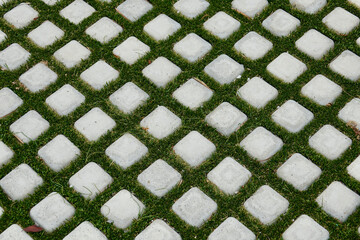 driveway design with ornamental grass and concrete pavers