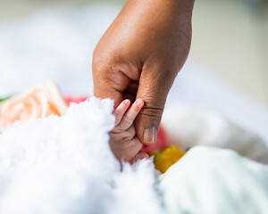 Obraz na płótnie Canvas mother holding hand of a new born baby