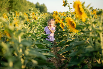 little girl is running in the field of sunflowers 