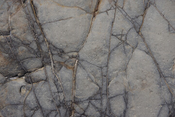 Close-up view of the surface of a rock at a pacific ocean beach