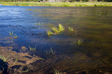 River at Yellowstone National Park. Wyoming landscape.