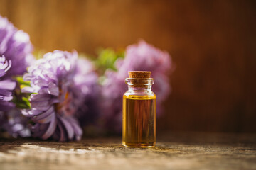 Obraz na płótnie Canvas essential oils and medicinal flowers, herbs