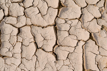 cracked soil in desert in summer