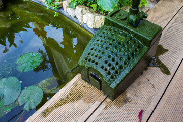 Dirty pond. Algae and silt on the surface of a pond pump. Home pond maintenance. Pollution of the...