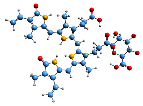  3D image of Bilirubin glucuronide skeletal formula - molecular chemical structure of metabolite isolated on white background
