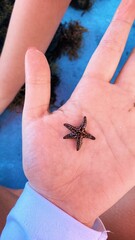 Processed with VSCO with g6 preset