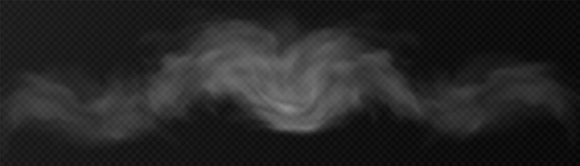 Translucent smoke isolated on a transparent background. Steam effect special effect. Vector texture of steam, fog, cloud, smoke. © MAKSYM