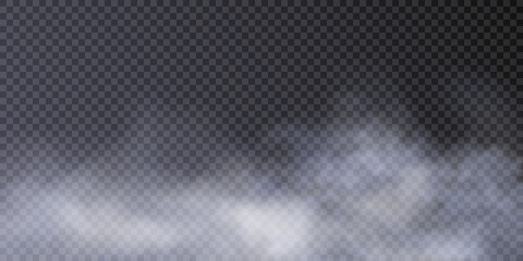 Translucent smoke isolated on a transparent background. Steam effect special effect. Vector texture of steam, fog, cloud, smoke. © MAKSYM