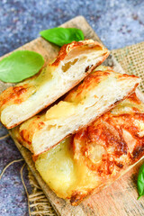   Italian  Focaccia  four cheese with crispy crust   Full 72 hour pizza dough   fermentation   method. Roman style pizza slice 