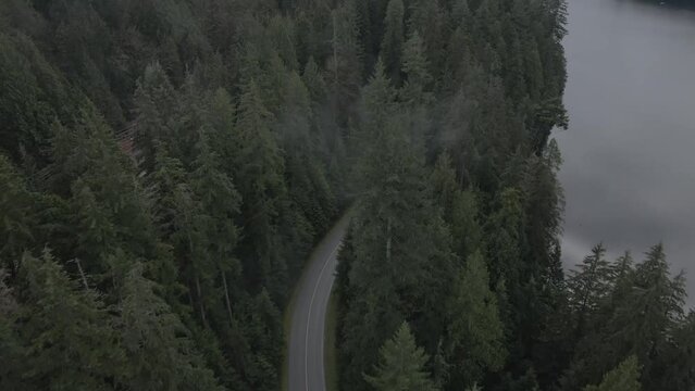 Flying over a winding road in the forest